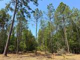 5 Camp Ruby Road - Photo 11
