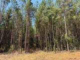 5 Camp Ruby Road - Photo 12