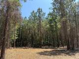 5 Camp Ruby Road - Photo 4