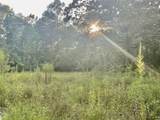 3508 Gilliland Creek Road - Photo 3