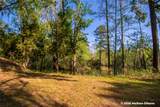 28 Rail Spur - Photo 29