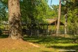 28 Rail Spur - Photo 34