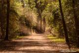 28 Rail Spur - Photo 4