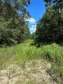(43208) Wake Forest - Photo 1