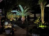 22 Cokeberry Street - Photo 28