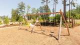 15810 Mossy Juniper Lane - Photo 6