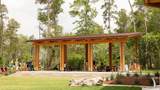 15810 Mossy Juniper Lane - Photo 8