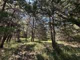 TBD Tract #1 County Road 481 - Photo 10