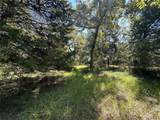 TBD Tract #1 County Road 481 - Photo 13