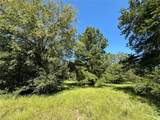 TBD Tract #1 County Road 481 - Photo 16