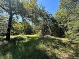 TBD Tract #1 County Road 481 - Photo 17