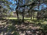 TBD Tract #1 County Road 481 - Photo 20