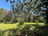 TBD Tract #1 County Road 481 - Photo 22