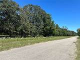TBD Tract #1 County Road 481 - Photo 23