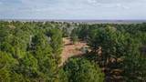 (39.15 acres) 12868 County Road 122 - Photo 12