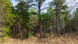 (39.15 acres) 12868 County Road 122 - Photo 16