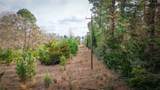 (39.15 acres) 12868 County Road 122 - Photo 18