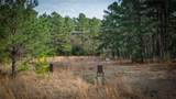 (39.15 acres) 12868 County Road 122 - Photo 2