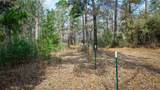(39.15 acres) 12868 County Road 122 - Photo 23