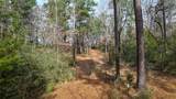 (39.15 acres) 12868 County Road 122 - Photo 24