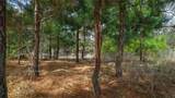 (39.15 acres) 12868 County Road 122 - Photo 27