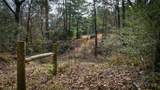 (39.15 acres) 12868 County Road 122 - Photo 30