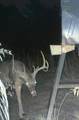 (39.15 acres) 12868 County Road 122 - Photo 34