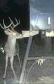 (39.15 acres) 12868 County Road 122 - Photo 35