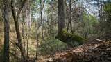 (39.15 acres) 12868 County Road 122 - Photo 4