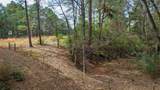 (39.15 acres) 12868 County Road 122 - Photo 7