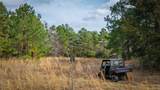 (39.15 acres) 12868 County Road 122 - Photo 8