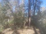 307 Magnolia Bend Drive - Photo 3