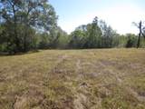 13596 Rogers Road - Photo 5