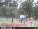 1126 Abel Road - Photo 41