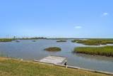 1264 Blue Heron Street - Photo 44