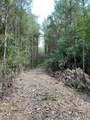 19853 Ghost Scenic Drive - Photo 3