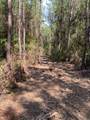 19853 Ghost Scenic Drive - Photo 5