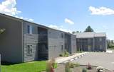 3655 Maiben Ave - Photo 2