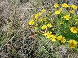 00 Fivemile Trail - Photo 7