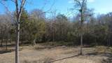 8272 Timber Bridge Lane - Photo 12
