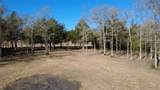 8272 Timber Bridge Lane - Photo 17