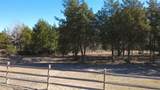 8272 Timber Bridge Lane - Photo 26