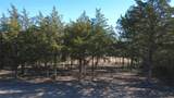 8272 Timber Bridge Lane - Photo 6