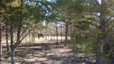 8272 Timber Bridge Lane - Photo 8