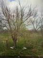 3221 Blackshear Street - Photo 2
