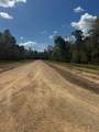 TBD LOT 1 Horace Bonds Road - Photo 4