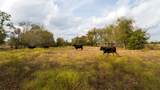 4646 Fm 2679 Road - Photo 11