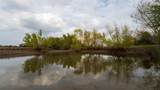 4646 Fm 2679 Road - Photo 2