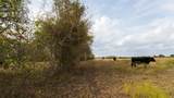 4646 Fm 2679 Road - Photo 28