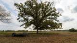 4646 Fm 2679 Road - Photo 3